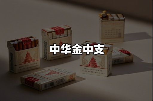 中华金中支